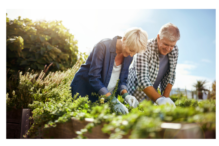 Explore the Best Hobbies for Retirees
